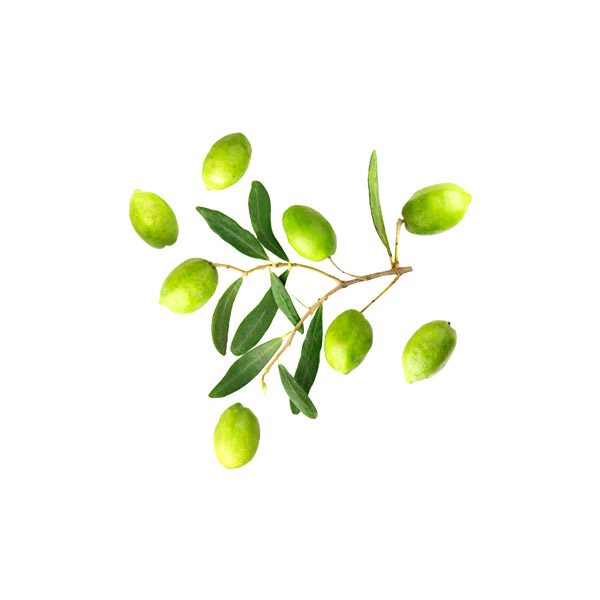 unser Olivenhain, KROUSSOS